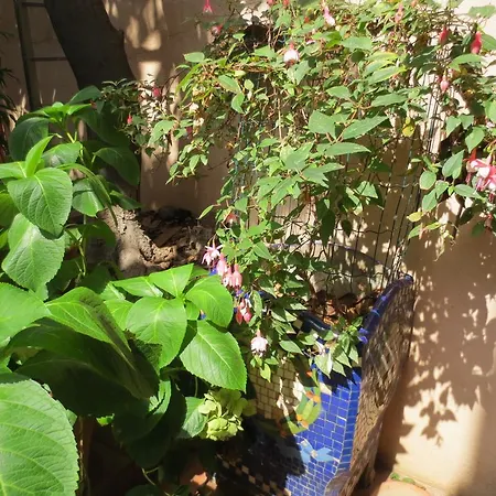 1900 בית הארחה טראסה