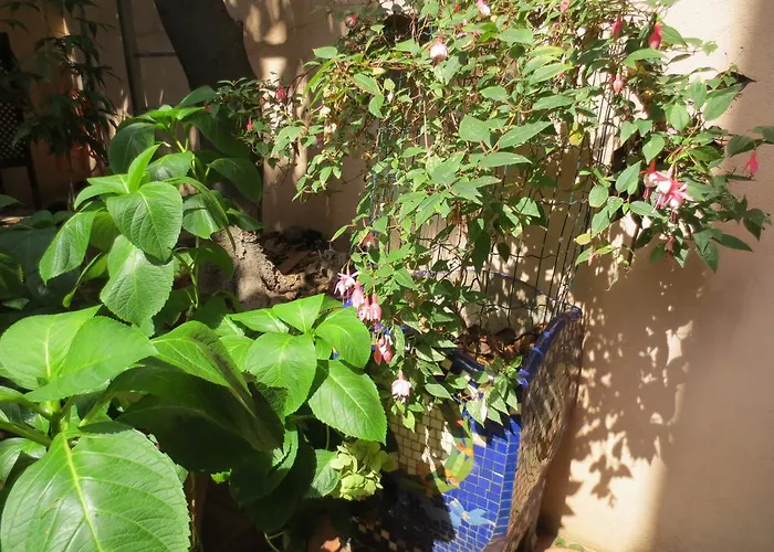 1900 Pensionat Terrassa